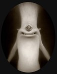 bill-sheds-his-spores bill-sheds-his-spores