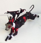 blackbunny blackbunny