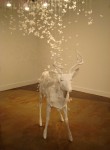 deer_install