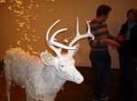 josh_and_deer