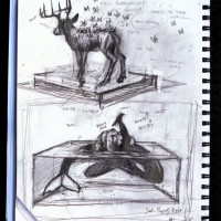 sketch