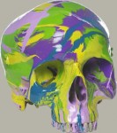 damien-hirst-hallucinatory-head-2
