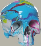 damien-hirst-hallucinatory-head-6