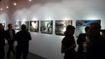 p1030368 p1030368