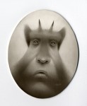pans_other_brother_200dpi