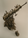 picture-14
