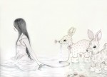 The Pond