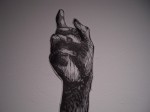 3111377665_181de6b86a_o