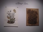 Elbow-Toe