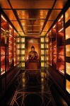 6curiosity-cabinet_1235148i
