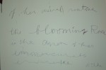 dpp_0013 dpp_0013