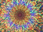 dscf28351
