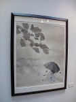 img_05812 img_05812
