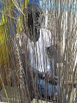 img_06432 img_06432