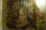 C215