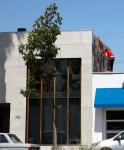 conormural001