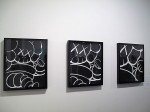 img_0311 img_0311