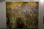 _mg_1141
