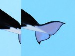 am-josh-keyes-1