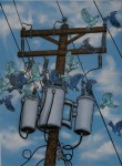 brokencrow_1 brokencrow_1