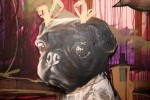 img_1691_pug