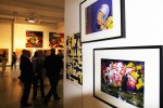 img_2584_photos img_2584_photos