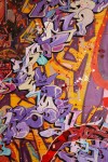 img_2603_sharp_detail img_2603_sharp_detail