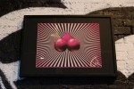 3728435913_eab436866d_b