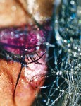 am-mac_marilyn_minter_preview-0