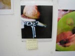 am-mac_marilyn_minter_preview-6