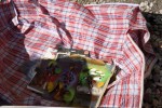 img_5104_os_gemeos