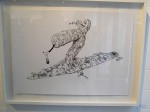 picture-27