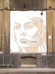 picture-6