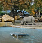 christoph_steinbrener-rainer_dempf-trouble_in_paradise-rhino-2009