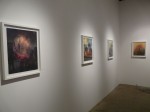 p1040628