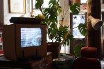 pow26