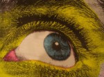 eye1