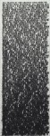 ligon Glenn Ligon – Black Like Me #2 – Hirshhorn Museum
