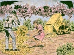 picture-15