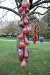 picture-44
