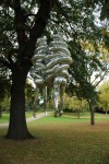 picture-46