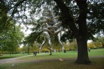 picture-47
