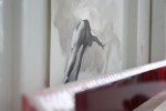 svenchloestudio8