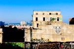 d_town_la_painted_dog_far-3