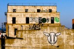 untitled2