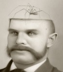 2rqgeg7