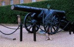 cannon_1447964i