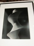 img_1558
