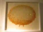 img_1595