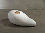 capsule-1 capsule-1